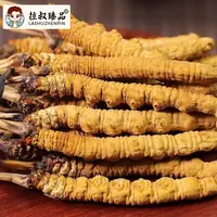 精选青藏高原雪域冬虫夏草
