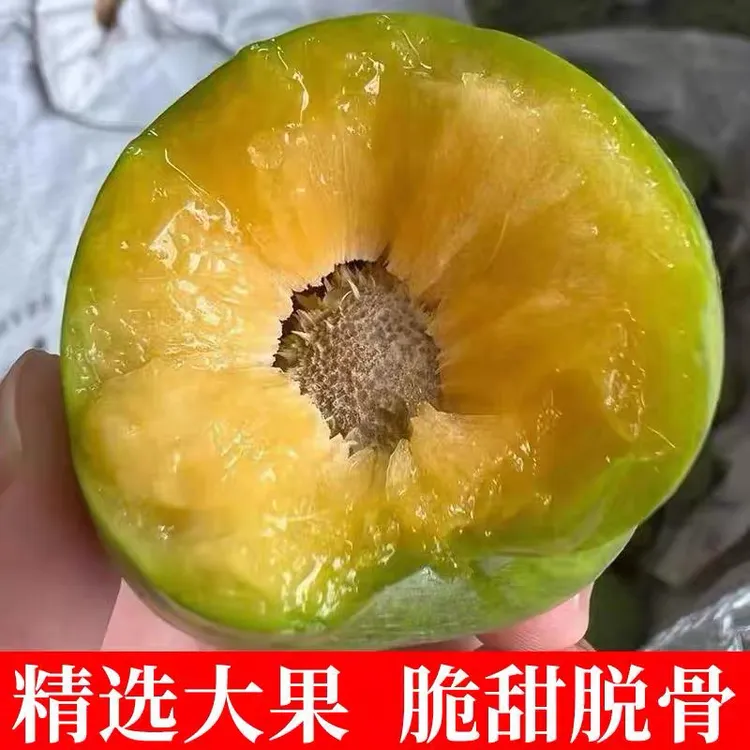 （顺丰空运）正宗四川汶川精品青脆李新鲜采摘应季水果脆甜多汁顺丰