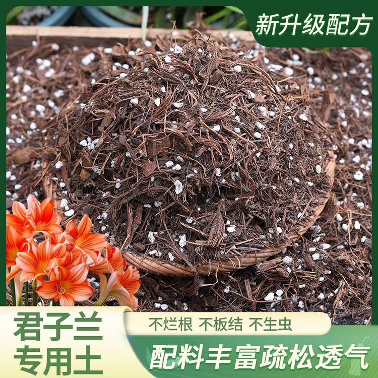 君子兰专用土花卉盆栽腐殖腐叶兰花土骨粉肥料松针兰科通用营养土