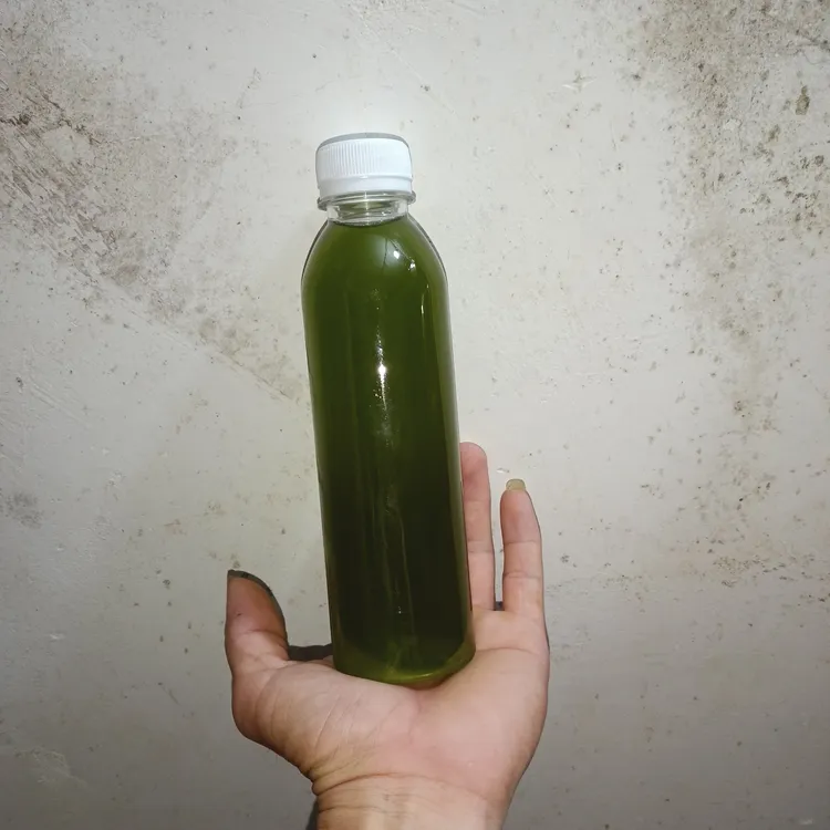 高浓度黑尾胡峰诱蜂水300ml
