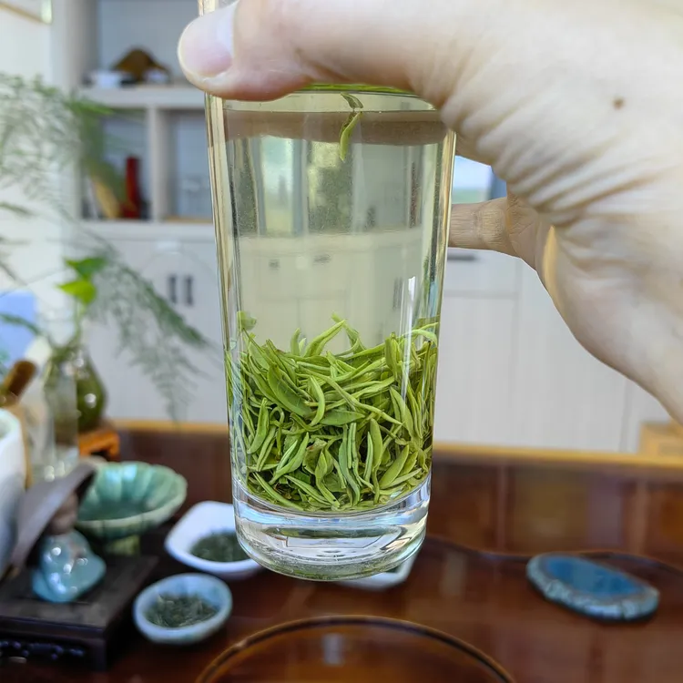 【4月7日毛尖】克紫阳毛尖茶叶清香回甘2025新茶新茶