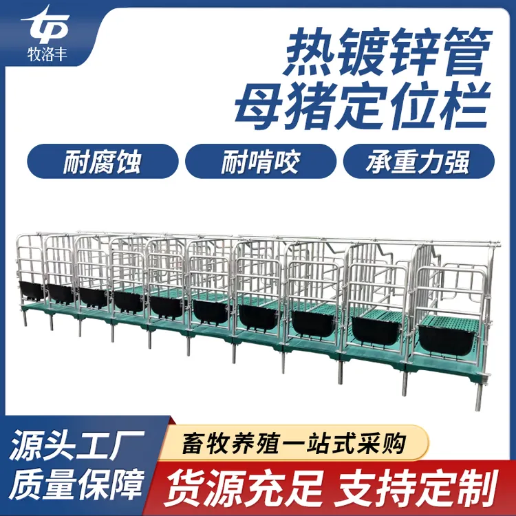 牧洛丰母猪定位栏限位栏5/10猪位带漏粪板热镀锌加厚养殖设备
