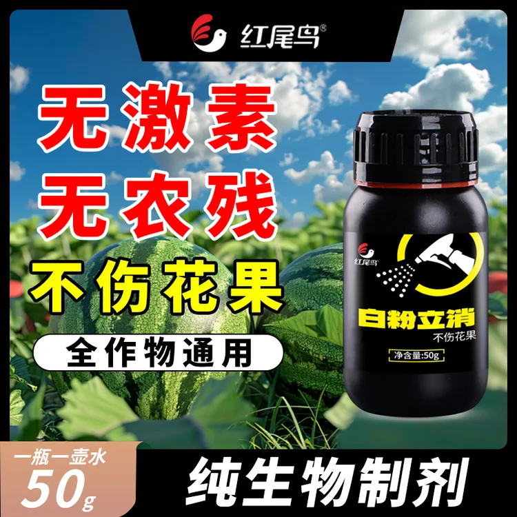 白粉立消粉层专用不挑作物快速吸收不伤花果富含营养喷施生物制剂商品图