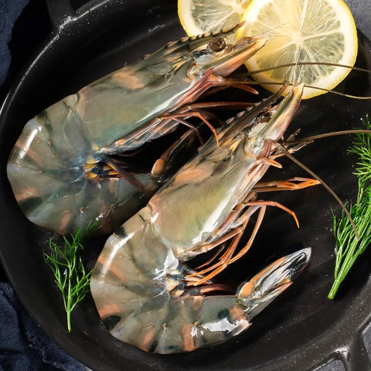 【多规格可选】特A级 黑虎虾 巨型特大 鲜活速冻 肉质鲜美 净重3斤商品图