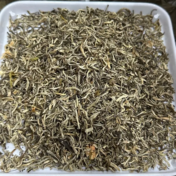 广西横县茉莉花茶新茶雪芽芽中芽茶叶