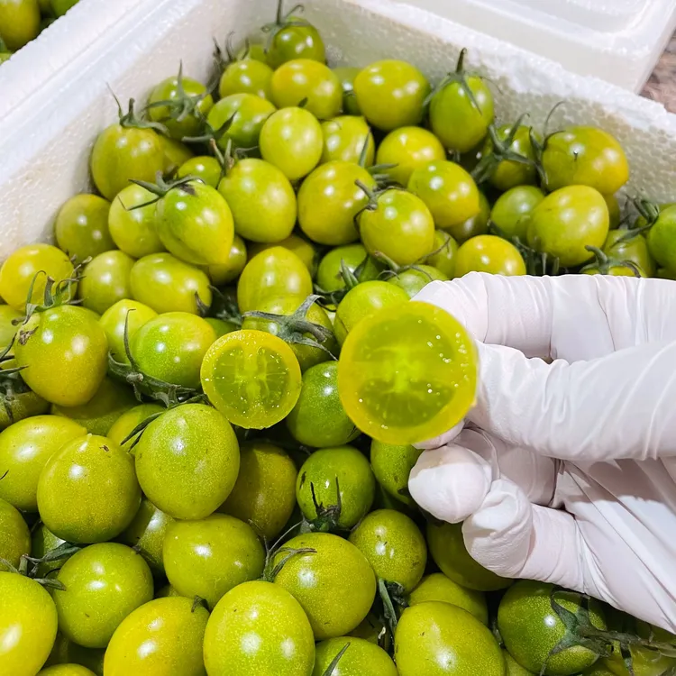 【太白农场】青甜小番茄圣女果3斤装 纯甜无酸自然成熟新鲜现摘现发