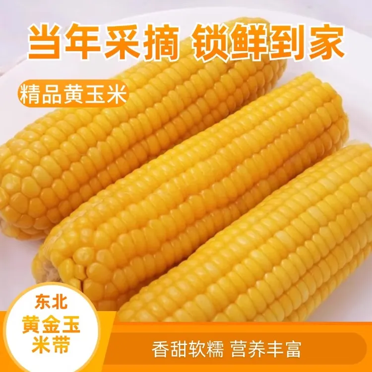 东北真空包装黏玉米棒现摘新鲜甜玉米粒粘甜苞米早餐即食