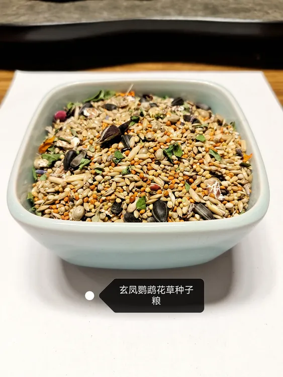 玄凤鹦鹉花草种子粮（秋冬版）