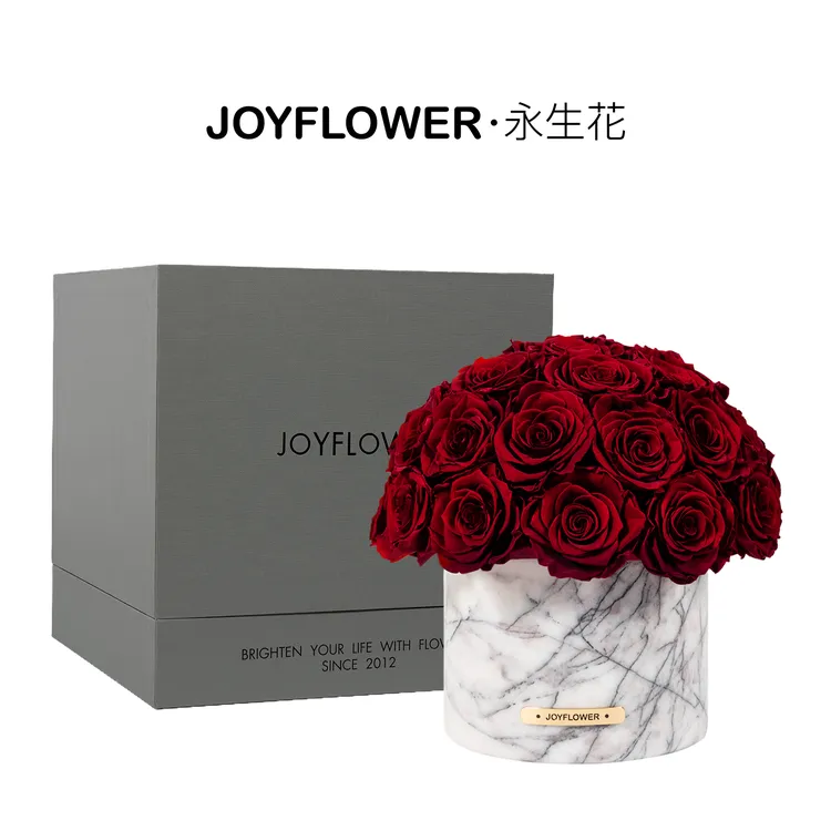 Joyflower永生花真玫瑰香雪梅花瓶新家乔迁新房新婚结婚礼物摆件