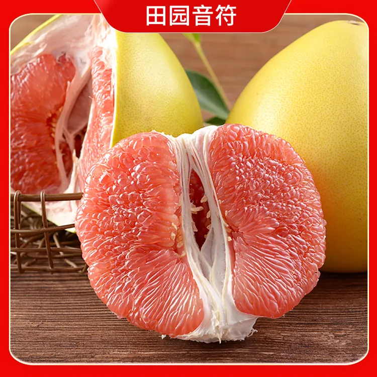 【田园音符】福建平和红心蜜柚4.5斤/8.5斤单果1.7斤起多仓发货柚子