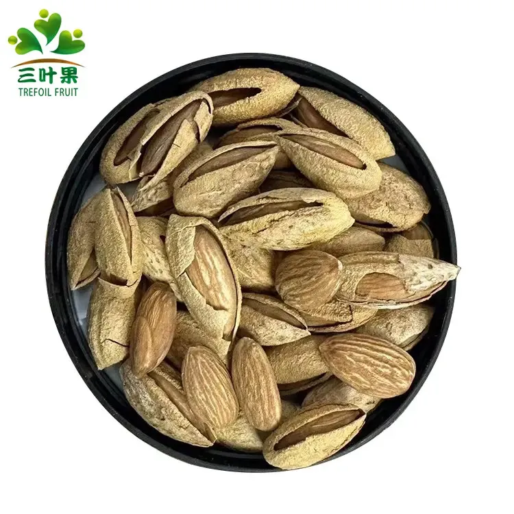 新疆包邮干果零食新疆原味干炒纸皮巴旦木1斤/2斤特产