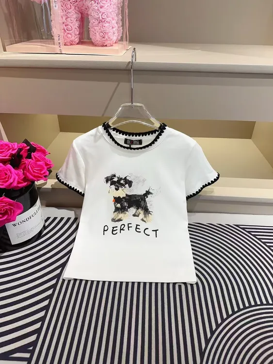 绣花t恤2025新款修身显瘦白色色棉圆领短袖夏季复古纯棉百搭韩版