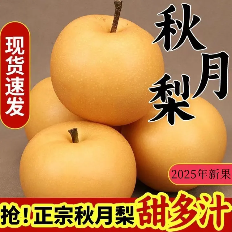 山东莱阳秋月梨现摘现发孕妇脆甜多汁皮薄肉厚新鲜水果鲜甜爽口1.