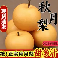 山东莱阳秋月梨现摘现发孕妇脆甜多汁皮薄肉厚新鲜水果鲜甜爽口2.