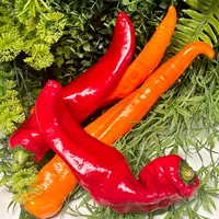 水果小彩椒高标准种植多种维生素矿物质丰富膳食纤维又甜又嫩不辣