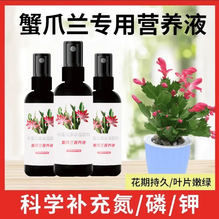 【厂家直销拍2发3瓶】蟹爪兰营养液专治叶子变软枯萎倒伏发黄复合掺商品图