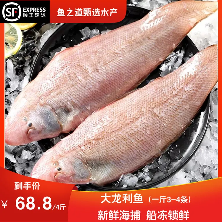 龙利鱼4斤新鲜鲜活海鲜肉质鲜嫩辅食速冻广东顺丰发货