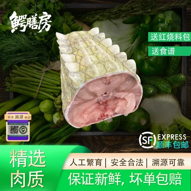新鲜带皮鳄鱼尾巴中段鳄鱼尾巴肉人工养殖现杀鳄鱼肉火锅烧烤炖肉
