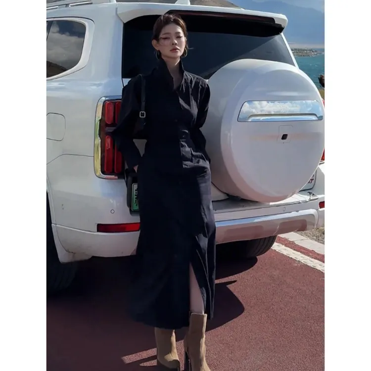 dandan｜赛里木蓝色回忆复古纽扣设计感简约款百搭秋冬衬衣裙长裙