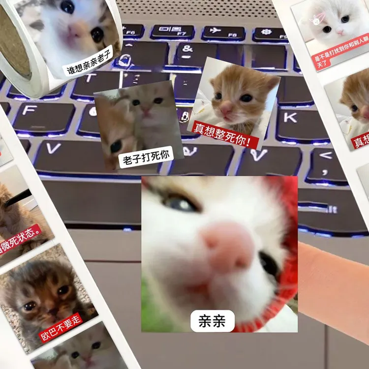 2000贴猫咪抽象搞笑表情卷卷贴可爱沙雕创意diy趣味手机装饰贴画