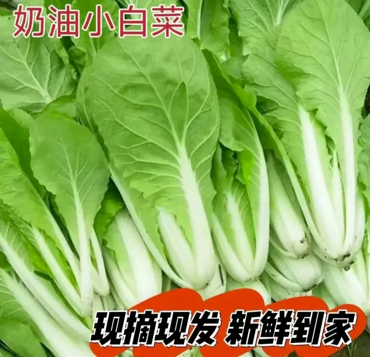 农家味奶油小白菜