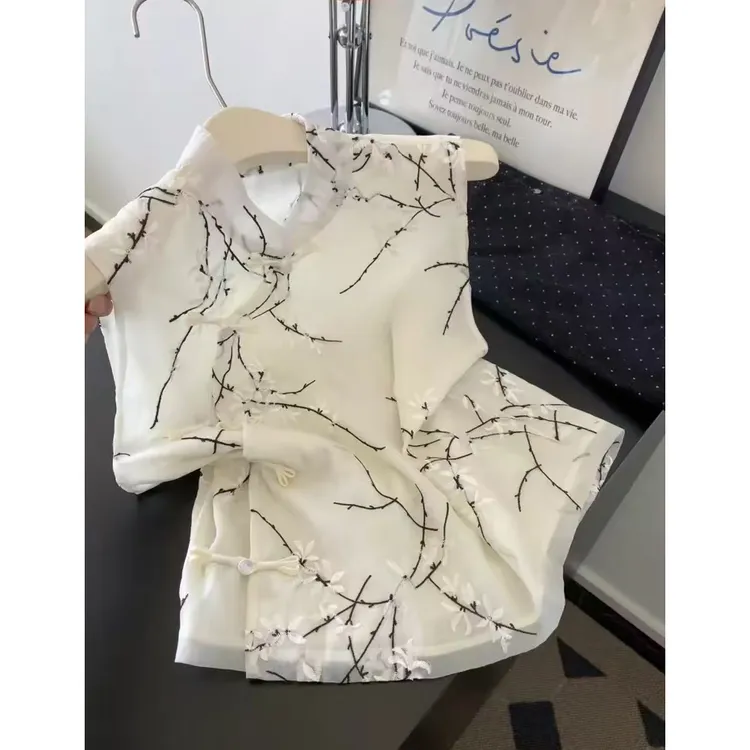 2025年夏季刺绣立领斜襟传统中国风马夹百搭时尚韩版宽松型上衣女