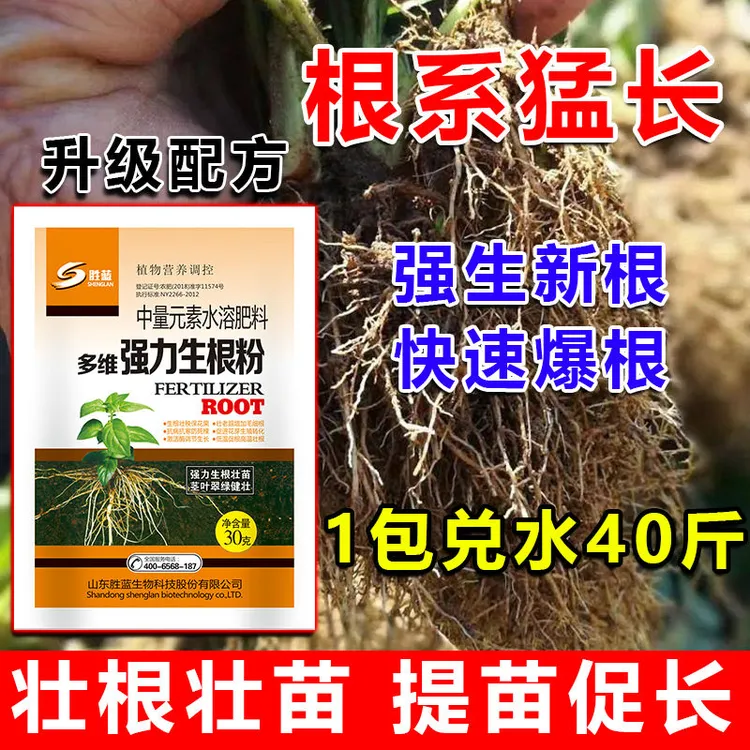 进口生根粉生根壮苗剂速效生根液大树移植苗木扦插月季果树生根