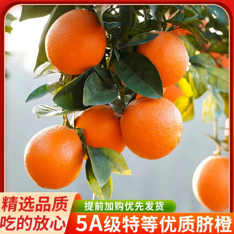 【小江专属】江西赣南脐橙新鲜正宗10/20斤现摘产地直供当季整箱甜橙顺丰包邮 