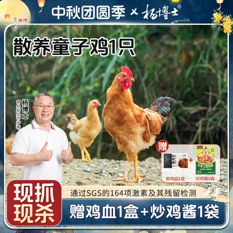 【1只童子鸡】杨博士皖南深山散养土鸡仔公鸡高蛋白 包冰率不含冰