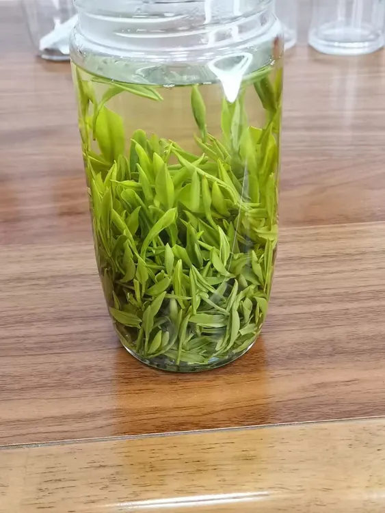 2025(A3)绿茶高山小兰花250/500克（正味兰花香）