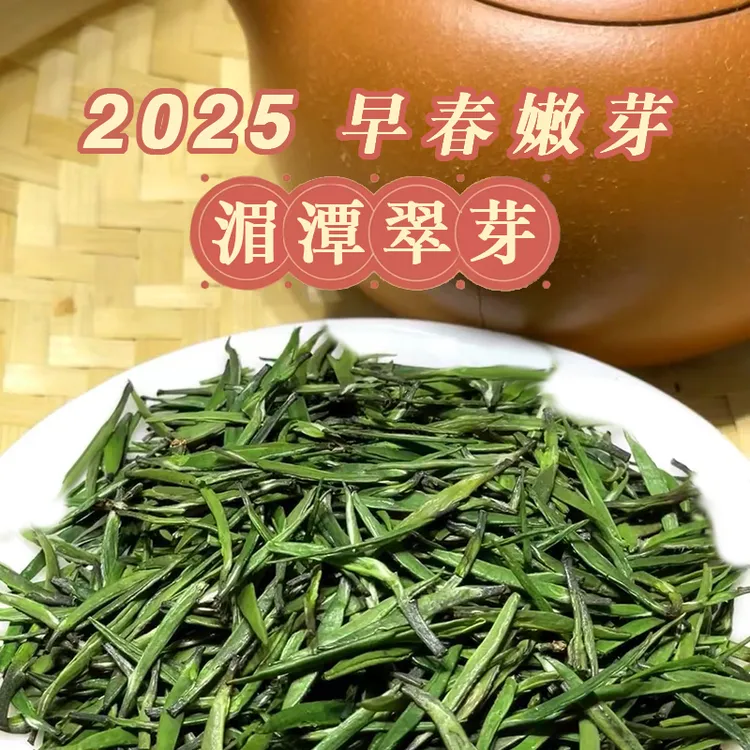 早春雀舌绿茶2025新茶茶叶正宗贵州湄潭翠芽高档明前特级盒装