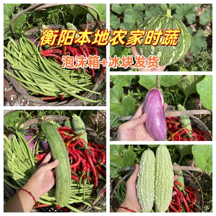 【发中通】湖南衡阳本地新鲜农家蔬菜包辣椒茄子豆角丝瓜苦瓜小南瓜