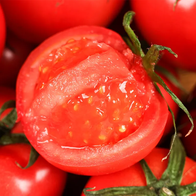 草莓西红柿普罗旺斯水果番茄陕西泾阳原产地现摘现发儿时味道