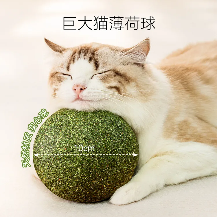 猫薄荷球超大猫玩具自嗨解闷神器磨牙猫草球逗猫棒猫咪用品木天蓼