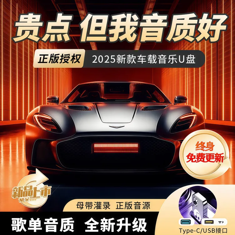 【正版授权】2025柏林之音1500高品质黑胶芯片车载U盘黑胶原声母带