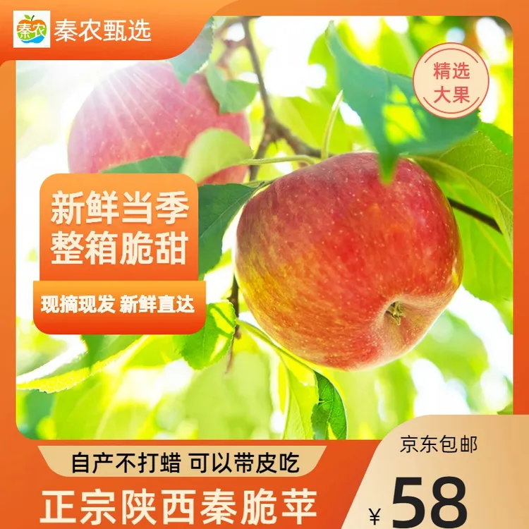 陕西【秦脆苹果】当季现摘脆甜多汁产地直发