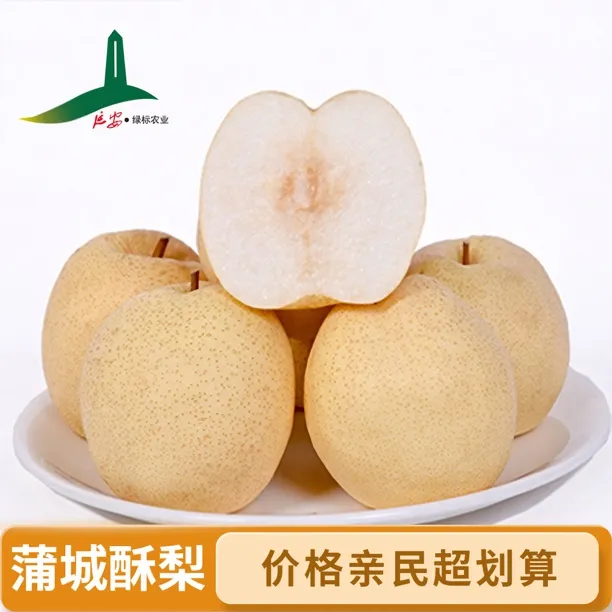 蒲城酥梨水润多汁皮薄肉厚口感脆甜贡梨新鲜水果