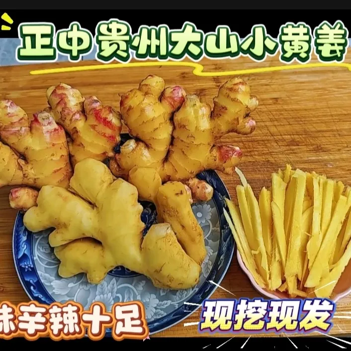 贵州仔姜大蒜生姜小黄姜新鲜现挖种植姜香浓郁辛辣月子姜糖醋姜