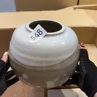 茶宠你在哪呢你在哪啊你在