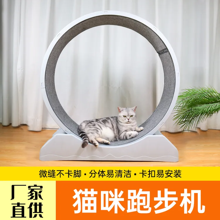 猫咪跑步机易拆洗更换式防卡脚宠物健身玩具塑料家用式滚轮猫爬架