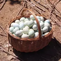 农家放养新鲜绿壳乌鸡蛋正宗原产地发货优质营养30枚装