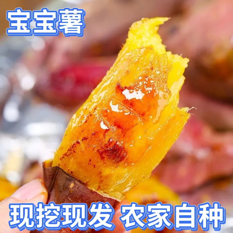【现挖现发】糖心小蜜薯天目山小香薯新鲜蜜薯黄心软糯香甜粗粮板栗