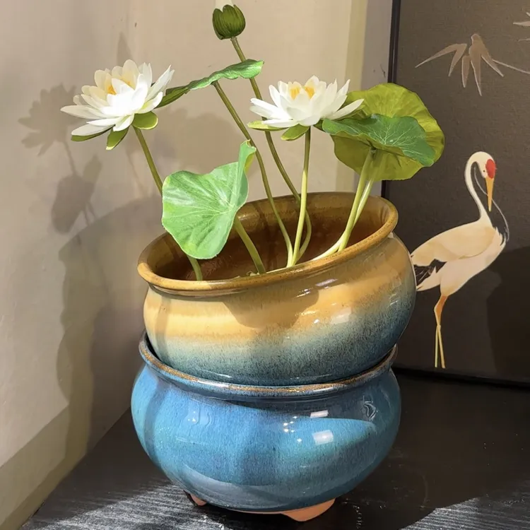 碗莲专用盆水培花盆碗莲花盆陶瓷盆无孔花盆铜钱草花盆