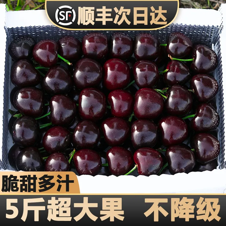 超大果王进口车厘子拉宾斯海运新鲜水果J-5J5斤内附果径卡