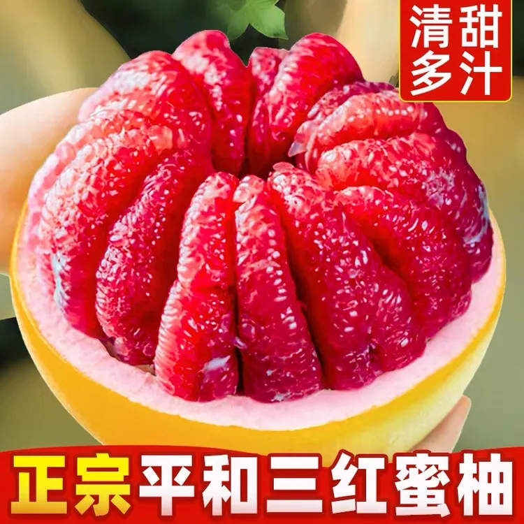 【果果妈专属】福建三红蜜柚新鲜水果果肉厚实多汁颗粒饱满