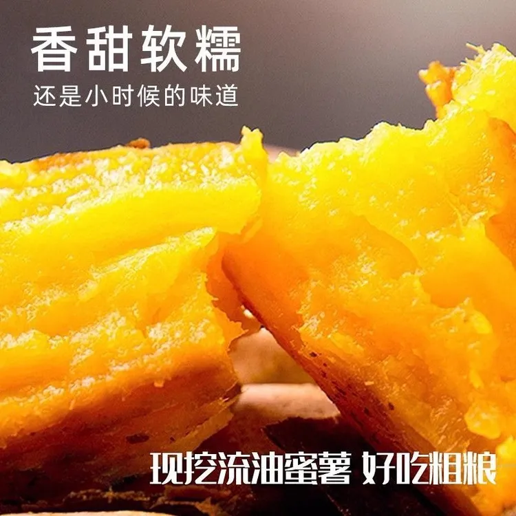 湖北正宗黄心蜜薯新鲜现挖香甜软糯的烤地瓜红薯蜜薯番薯辅食代餐
