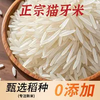 【25年新米】长粒香米猫牙米丝苗米南方全家爱吃的籼米软糯10斤XX