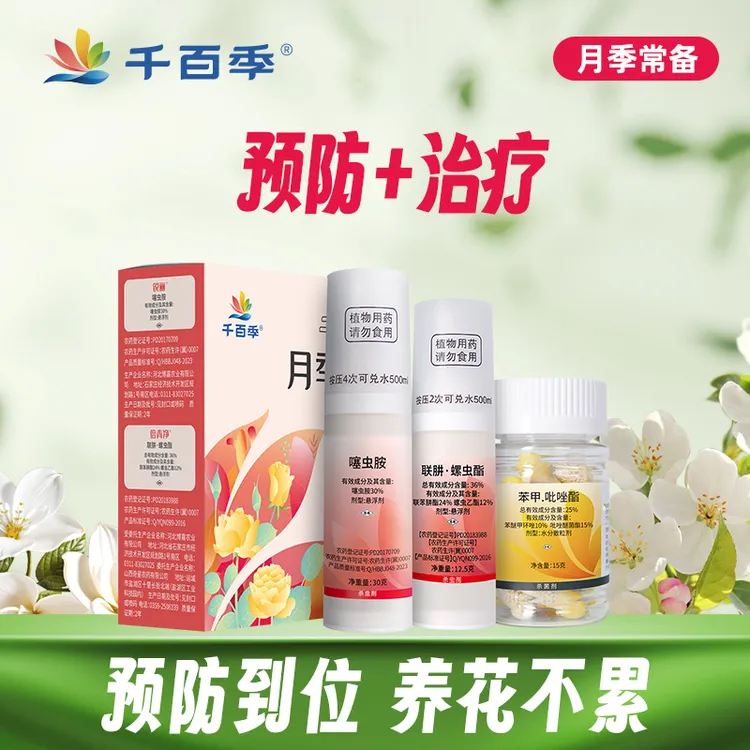 千百季家庭园艺月季常备方便防治养护蚜虫白粉虱杀虫剂