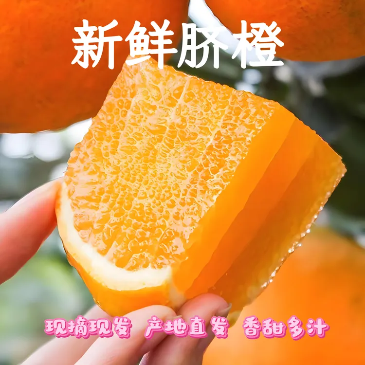 正宗江西赣南寻乌脐橙新鲜采摘香甜多汁当季水果孕妇甜橙