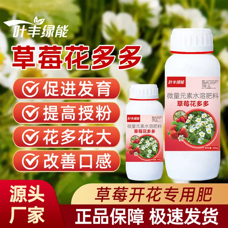 草莓种植专用肥料促花保花肥硼锌微量元素水溶肥叶面肥工厂直发